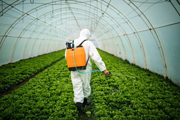 Best Pest Prevention Services  in Wanamingo, MN