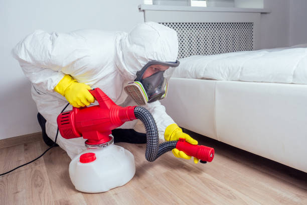 Professional Pest Control in Wanamingo, MN