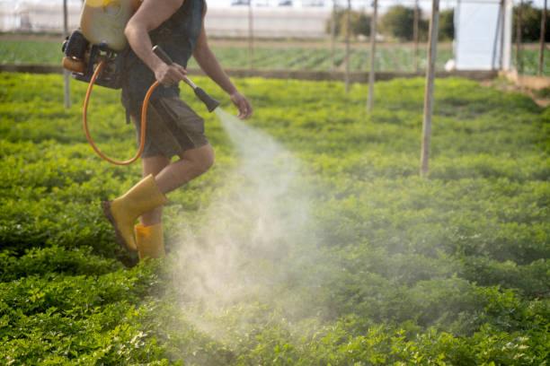 Best Pest Prevention Services  in Wanamingo, MN