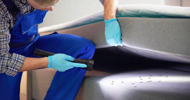 Reliable Wanamingo, MN Pest Control Solutions