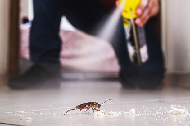 Best Exterminator Services  in Wanamingo, MN