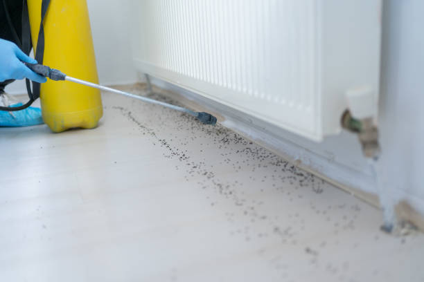Best Emergency Pest Control  in Wanamingo, MN